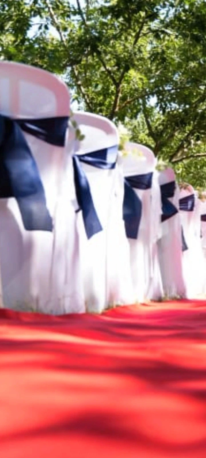 Nœud décoratif de chaises